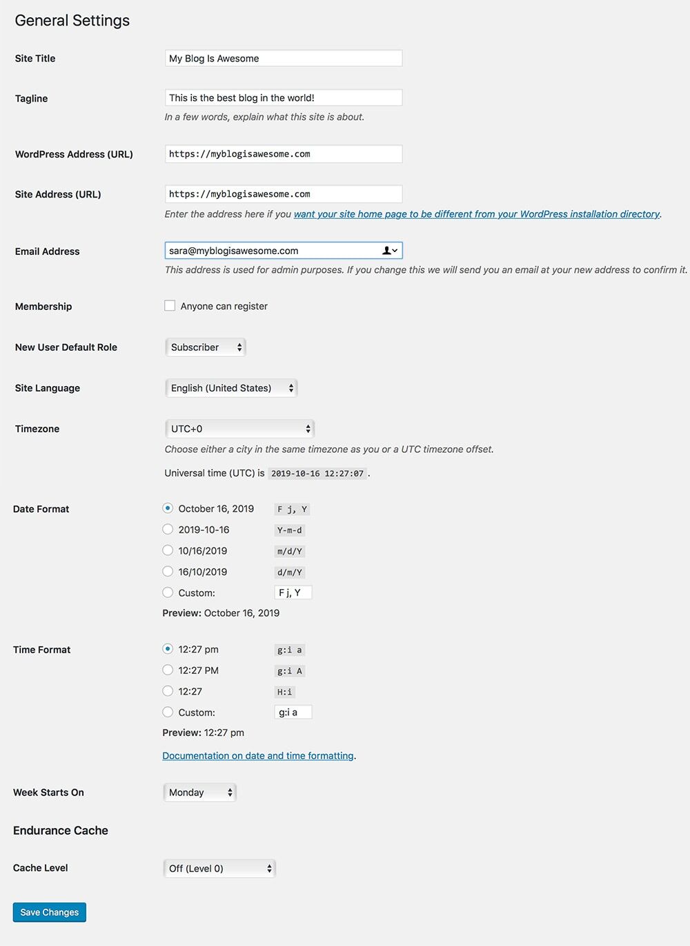 WordPress General Settings Dashboard: how to start a blog